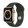 apple-watch-series-s6-40mm-esim-thep-99